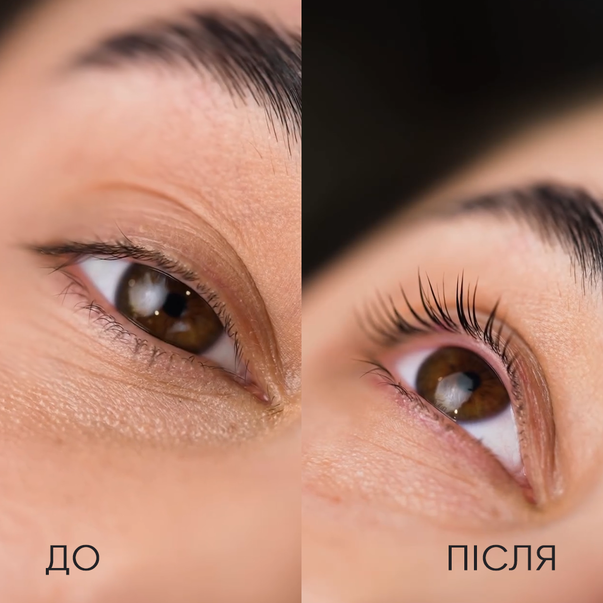 Фіксуюча пудра для вій LamiSculpt ZOLA x Romashka 10 г: купити